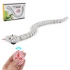 RC Snake Toy Retractable Tongue Swinging Tail Sliding Motion USB