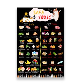 Magnetic Safe Foods Guide for Dogs and Cats,Pet Feeding Chart-12 x8,Black