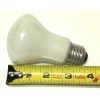 WOTAN 100W R20 SOFT WHITE BULB - MADE IN BRAZIL
