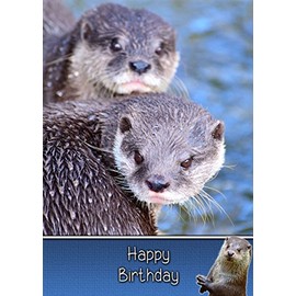 Otter Birthday Card