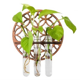 ZYETGH Wall Hanging Propagation Station, Plant Propagation Station Wall Mounted Hanging Test Tube Vase with Wooden Stand for Hydroponic Plant Home Office Decoration