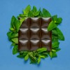 Chocolove Peppermint in Dark Chocolate, 55% Cacao | Pack of