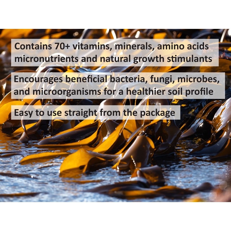 Young Urban Farmers Kelp Meal 800g