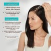Moroccanoil Tratamiento Cuero Cabelludo Seco, 45 ml