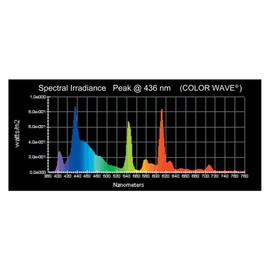 Wave Point 4-Pack Color Wave HO T-5 39-Watt Universal Aquarium Lamp