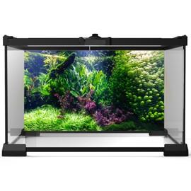 Riivvdise Aquarium Background Various Underwater Grass Plants Aquarium Backdrop Vivid and Fresh Green Aquatic Plants Stone River Bed and Dead Wood Tank Background Vinyl 24x12in