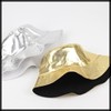 White Fang CZ500 Hat, Bakaiha, Metallic Festival, Party, Simple, Shiny