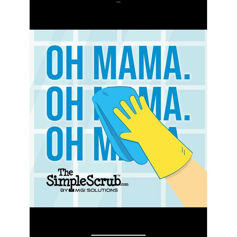 The Simple Scrub Cleaning Pads-Cloth Pad-2 Pack-for Drying Off The