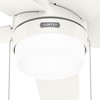 Hunter Fan Company 52493 Bardot Ceiling Fan, Fresh White