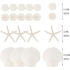 20PCS Sea Shells for Crafting 3-4", Mini Sand Dollars Starfish Decor for Crafts, Scallop Shells for CookingColor: 20PCS Sea Shells for Crafting 3-4", Size: 20PCS Sea Shells for Crafting 3-4"