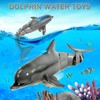 Remote Control Dolphin Shark, Water Pool Toys for Kids Ages