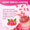 HMB and L-Leucine Gummies, 3000mg HMB and Leucine Amino Acid