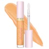 Too Faced Born This Way Ethereal Light Illuminating Smoothing Concealer