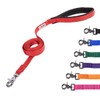 GoGo Pet Products 3/4-Inch Wide Comfy Nylon Dog Leash, 4-Feet
