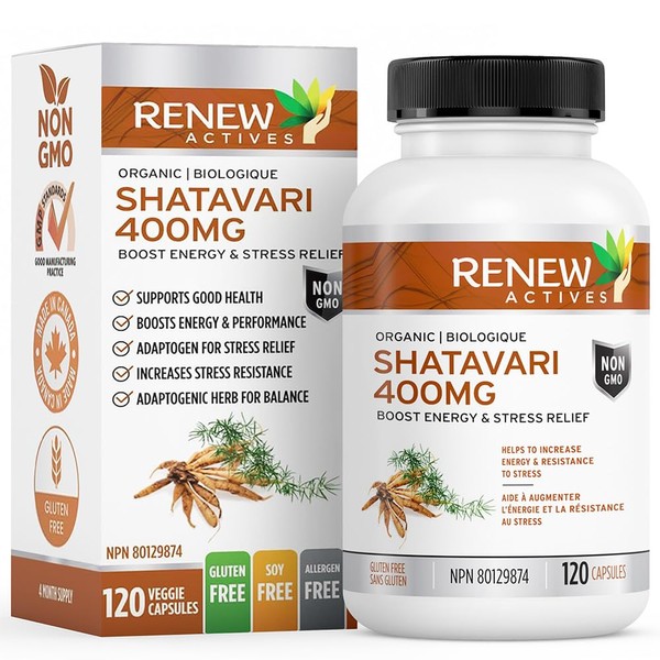 Renew Actives RENEW ACTIVES Shatavari 400MG per ServingC Natural Adaptogen