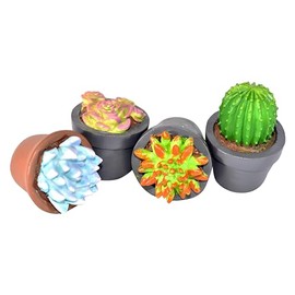 G & F Products 10062 Garden Miniature - Succulent