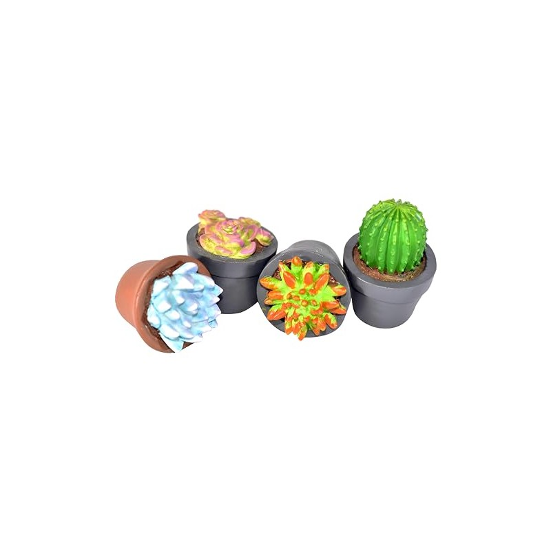 G & F Products 10062 Garden Miniature - Succulent