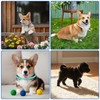 DOPENSPI 75PCS Stretchy Puppy Collar for Litter, Adjustable Kitten Collars