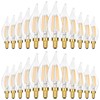 GoBright Dimmable LED Candelabra Bulbs 40W Equivalent, 24-Pack 2700K Soft