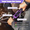 ANPUDS Digital Torque Wrench, ±1% Accuracy, 0.66-44.25 Ft-lb