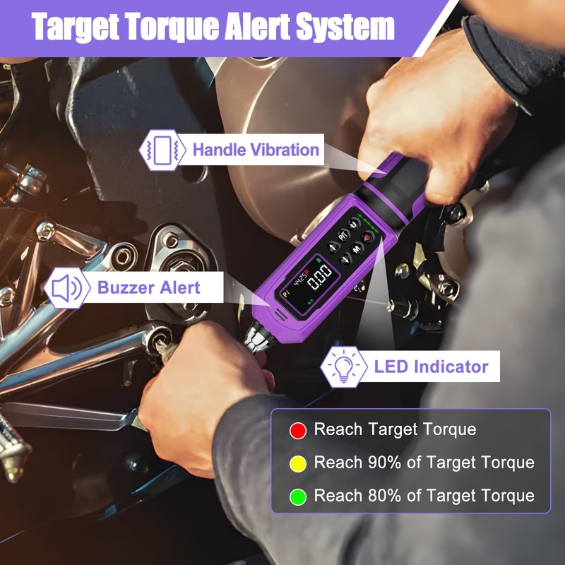 ANPUDS Digital Torque Wrench, ±1% Accuracy, 0.66-44.25 Ft-lb