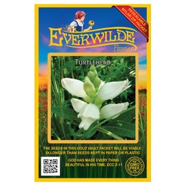 Everwilde Farms - 500 Turtlehead Native Wildflower Seeds - Gold Vault Seed Packet