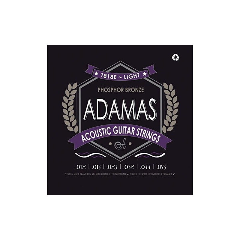 1818E 12-53 Acoustic Phosphor Bronze