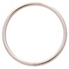 Metal Annular Ring Buckle 2.5" Inside Dia Loop Ring for