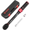 VANPO 1/4-inch Drive Click Torque Wrench, 20-240 in. lb/2.3-27.1 Nm,Dual-Direction