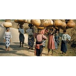 gourd 15 Bushel Gourd seeds; novelty; fun to grow; for Basket Arts & Crafts