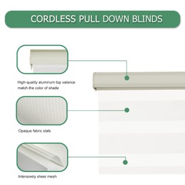 Tonature Cordless Zebra Blinds for Windows (33" W x 72" H, Cream) Free-Stop Privacy Roller Blinds Light Control for Day and Night UV Protection for Home Office Bedroom Easy to Install