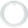 TCP 3201831K 18-watt Circle T6 Lamp, 3100-Kelvin