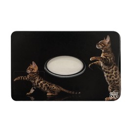 Color Pop Rigid Card Holder, 1 Piece, RFID French Product, PVC, RFID Protection for Credit Cards, 6 x 9.1 cm, Bengal Shielded, 6 x 9.1 x 0.4 cm, Contemporary, Bengal shielded, Contemporary