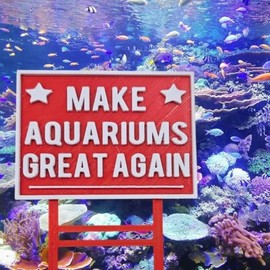 Aquarium Decor Make Aquariums Great Again
