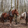 HERKINDNESS Hay Net for Horses, Hay Net, Tight Mesh, Hay