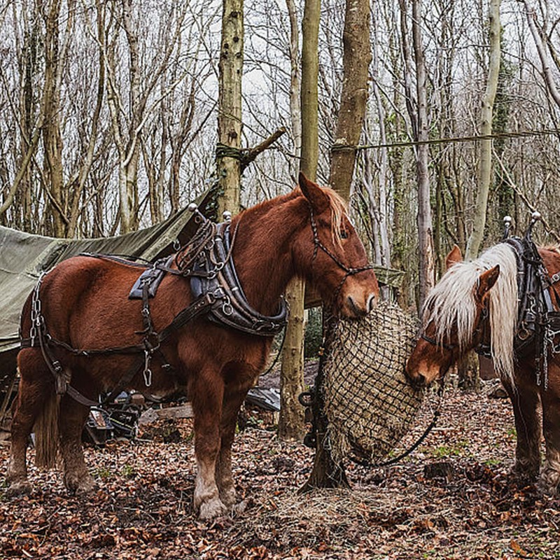 HERKINDNESS Hay Net for Horses, Hay Net, Tight Mesh, Hay