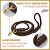 BlazingPaws® Elegania 6 Ft Premium Leather Dog Leash for Large