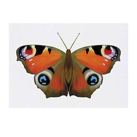 'Peacock Butterfly' Temporary Tattoo - Water Resistant, Skin-Safe, Non-Toxic Transfer (TO00032089)