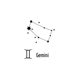 Zwillinge - Forever Never® | Temporäre Tattoos für Erwachsene - Hält bis zu 2 Wochen | vegan, wasserfest, EU-zertifiziert