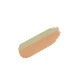 Jeongsaemmul Two-tone cover dark circle concern item Jung Saemmool Men Dark Zone Concealer 1.1g 2 types Salmon Beige / 투톤커버다크서클고민템 정샘물 맨 다크존 컨실러 1.1g 2종 살몬 베이지