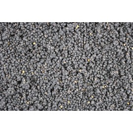 1000Kräuter Elderberries Elderberry Berries Dried Tea Whole (500 g)