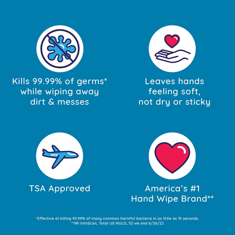 Wet Ones Antibacterial?Hand Wipes, Tropical Splash Wipes | Antibacterial Wipes,