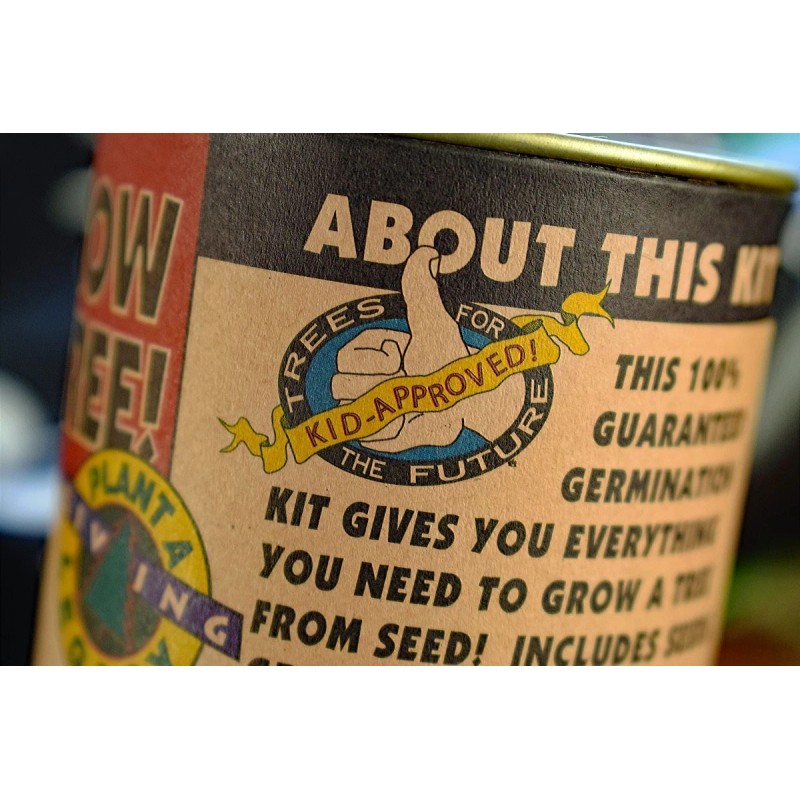 The Jonsteen Company Coast Redwood | Tree Seed Grow Kit