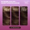 Clairol Bold & Bright Permanent Hair Dye, 50 Brown Sugar
