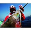 AURIE-Q RS UV Glow Body KPPE #3.0 / 16g (japan
