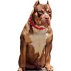 SP12813 Big Brooding Muscular Guard Dog Pitbull Pit Bull 46x24in