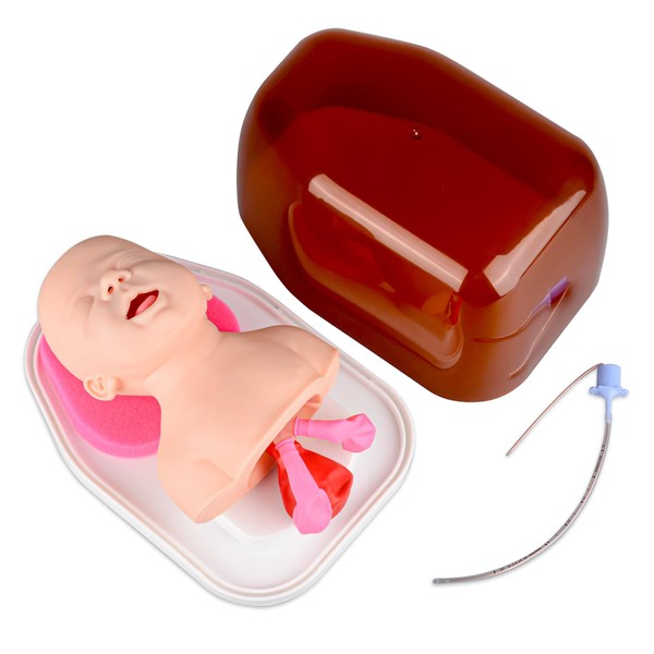 Ultrassist Neonatal Intubation Trainer, Pediatric Intubation Manikin, Infant Airway Management