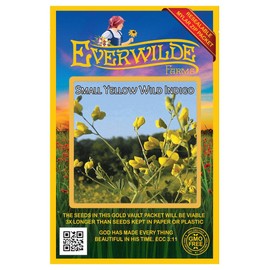 Everwilde Farms - 40 Yellow Wild Indigo Native Wildflower Seeds - Gold Vault Jumbo Seed Packet