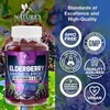 Immune Support Gummies - Sambucus Elderberry Gummy with Elder Berry