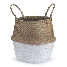 Seagrass Plant Basket with Handles, Natural Woven Storage Baskets (White M (8.3" D x 9" H))